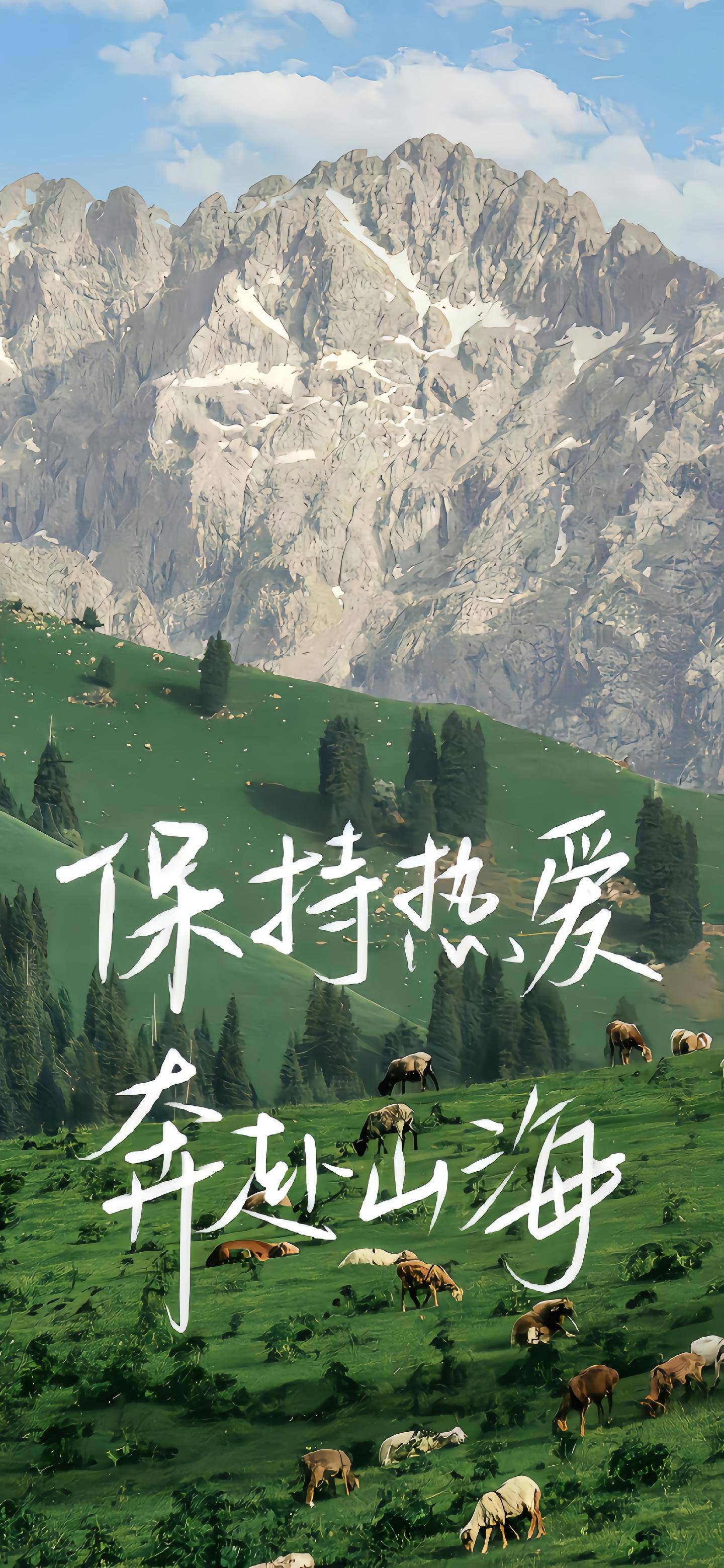 图片3