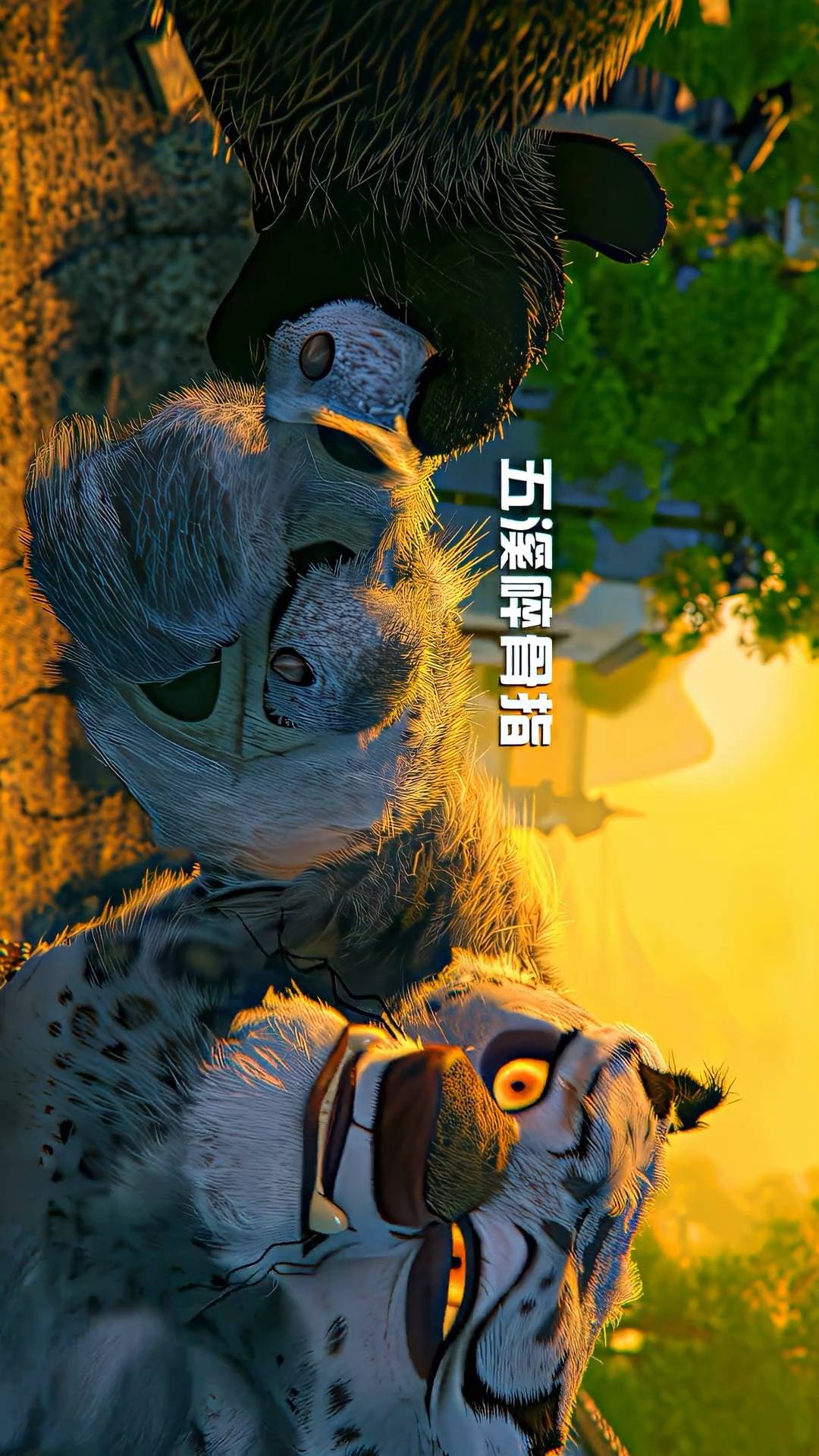 视频1